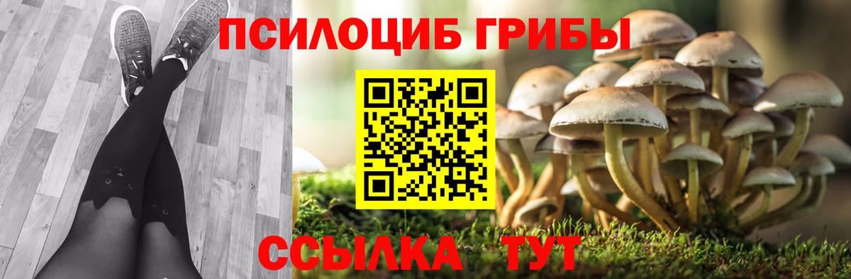 Галлюциногенные грибы Psilocybine cubensis  закладки  Вход с VPN  Кропоткин  Галлюциногенные грибы Psilocybine cubensis 